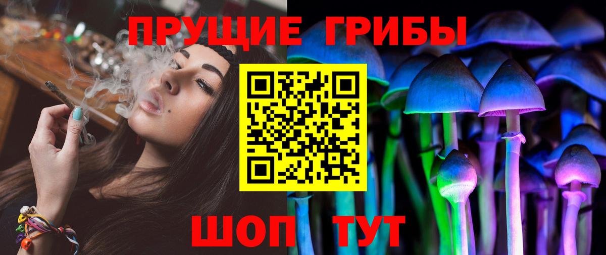 Мурманск  Псилоцибиновые грибы Psilocybe  Вход с VPN 